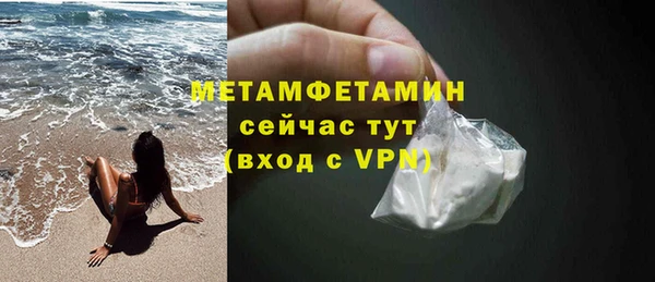 сатива Корсаков